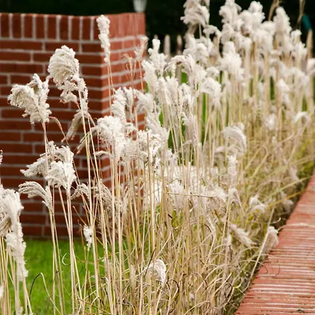 Haus129 Appartement *