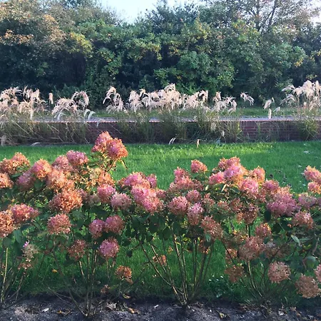 Appartement Haus129 *