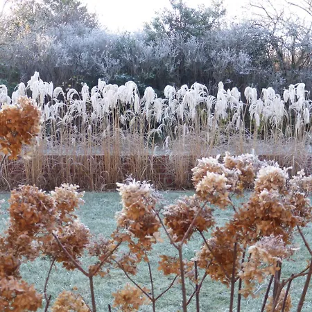 Haus129 דירה בורקום