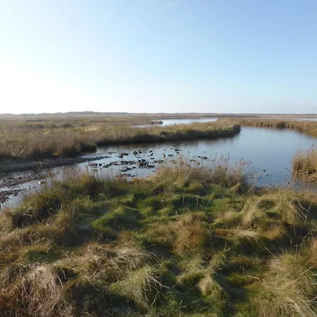 Haus129 דירה בורקום